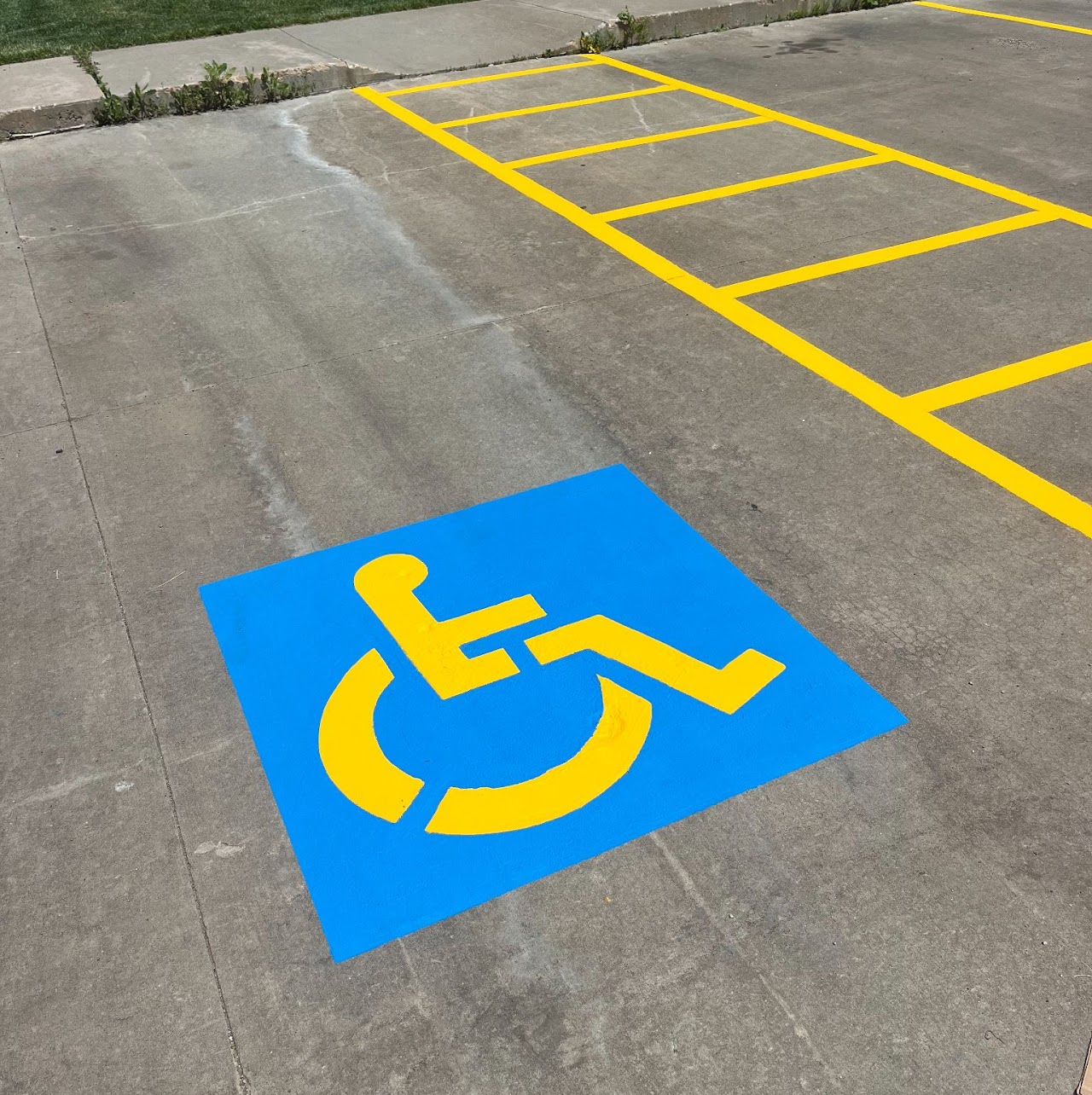 Freshly painted ADA handicap stall with vibrant blue and yellow paint